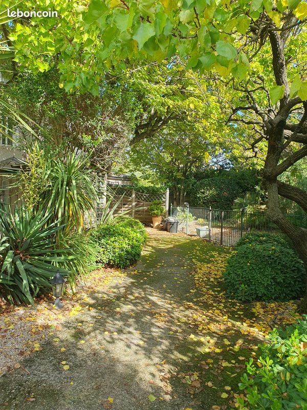 Appartement à louer, 47m², Jonquières