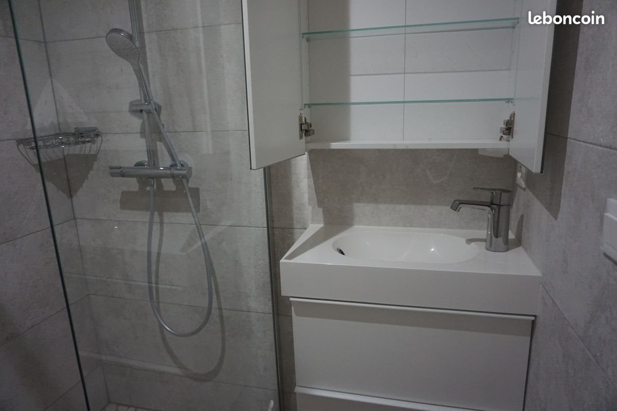 Appartement à louer, 18m², Roanne