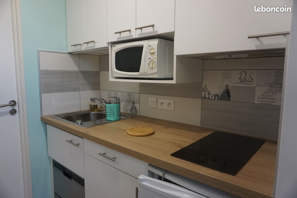 Appartement à louer, 18m², Roanne