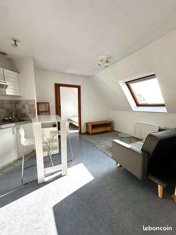 Appartement à louer, 21m², Kembs