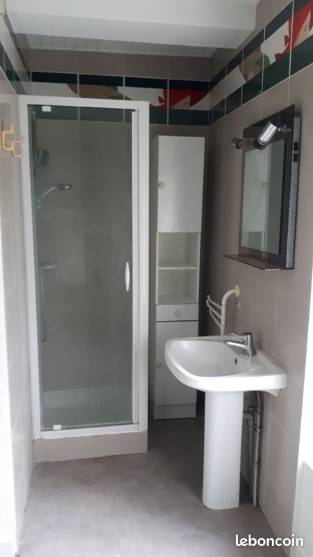 Appartement à louer, 44m², Condrieu