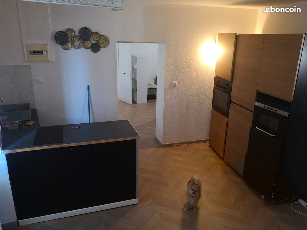 Appartement à louer, 50m², Lodève