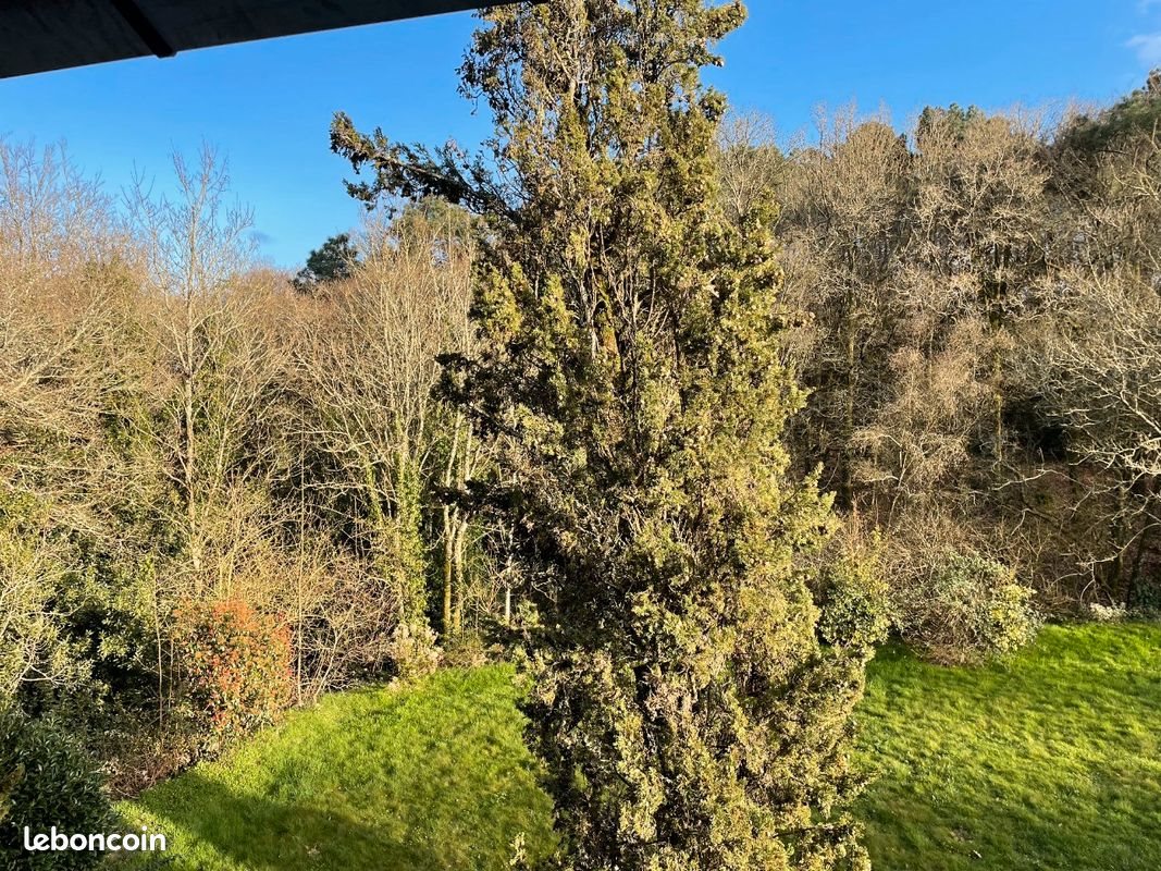 Appartement à louer, 32m², Saint-Avé