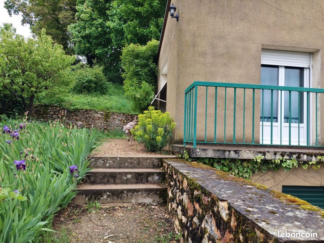 Appartement à louer, 30m², Lèves