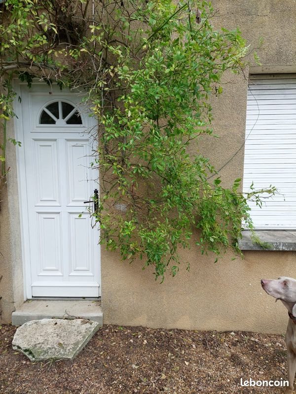 Appartement à louer, 30m², Lèves