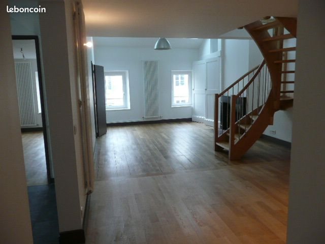 Appartement à louer, 100m², Nancy
