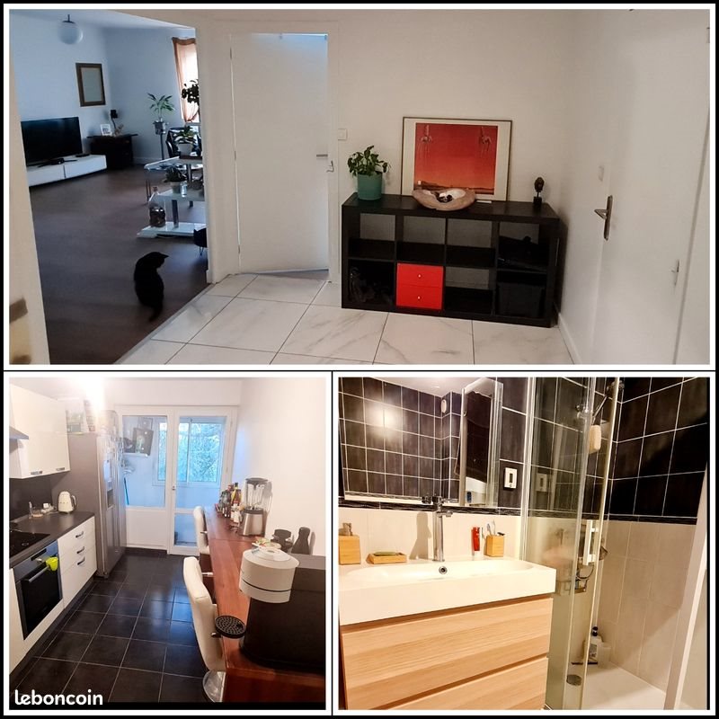 Appartement à louer, 63m², La Mulatière