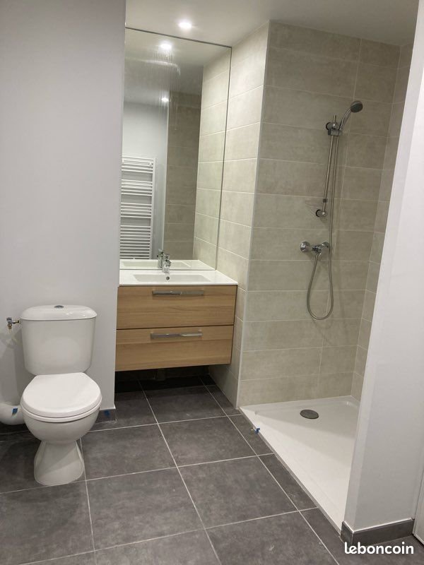 Appartement à louer, 37m², Villeurbanne