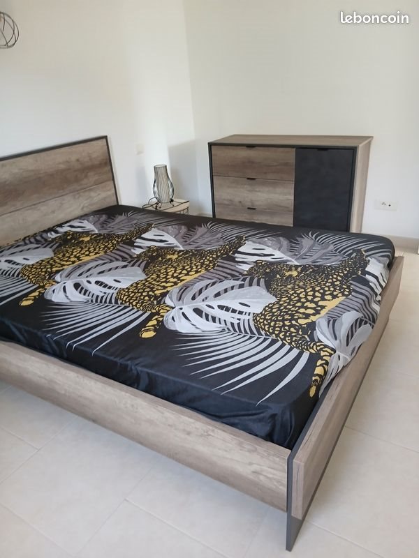Appartement à louer, 50m², Sisco