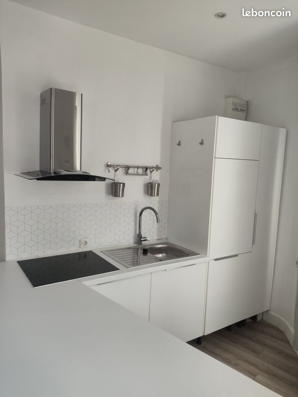 Appartement à louer, 47m², Lille