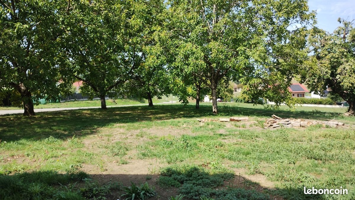 Maison à vendre, 250m², Domessin