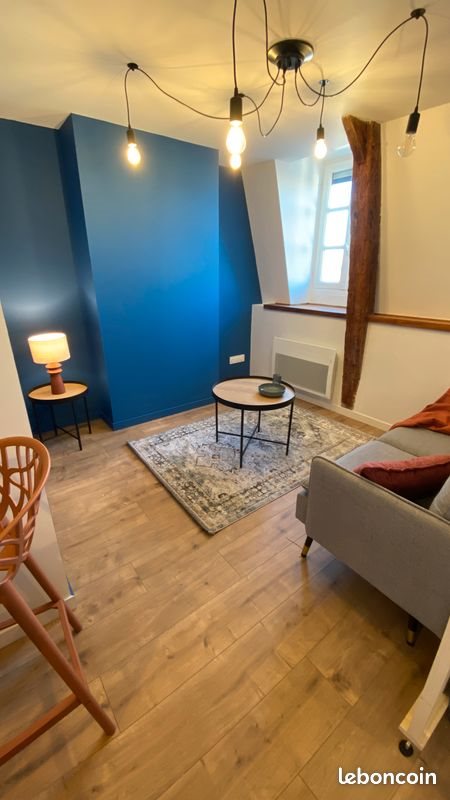 Appartement à louer, 25m², Roanne