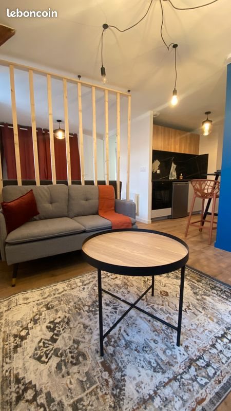 Appartement à louer, 25m², Roanne