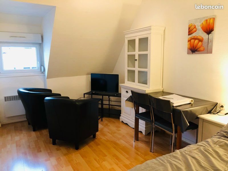 Appartement à louer, 25m², Colmar