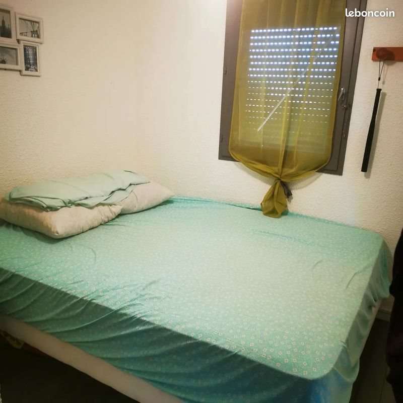 Appartement à louer, 36m², Saint-Cyprien