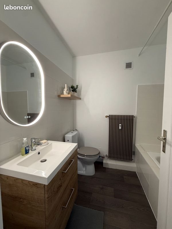 Appartement à louer, 50m², Brunstatt