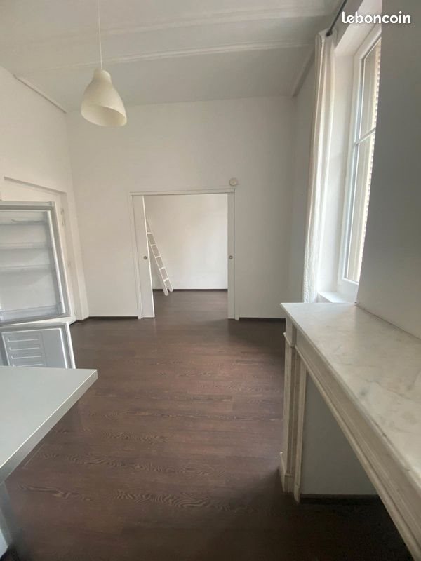 Appartement à louer, 30m², Nancy