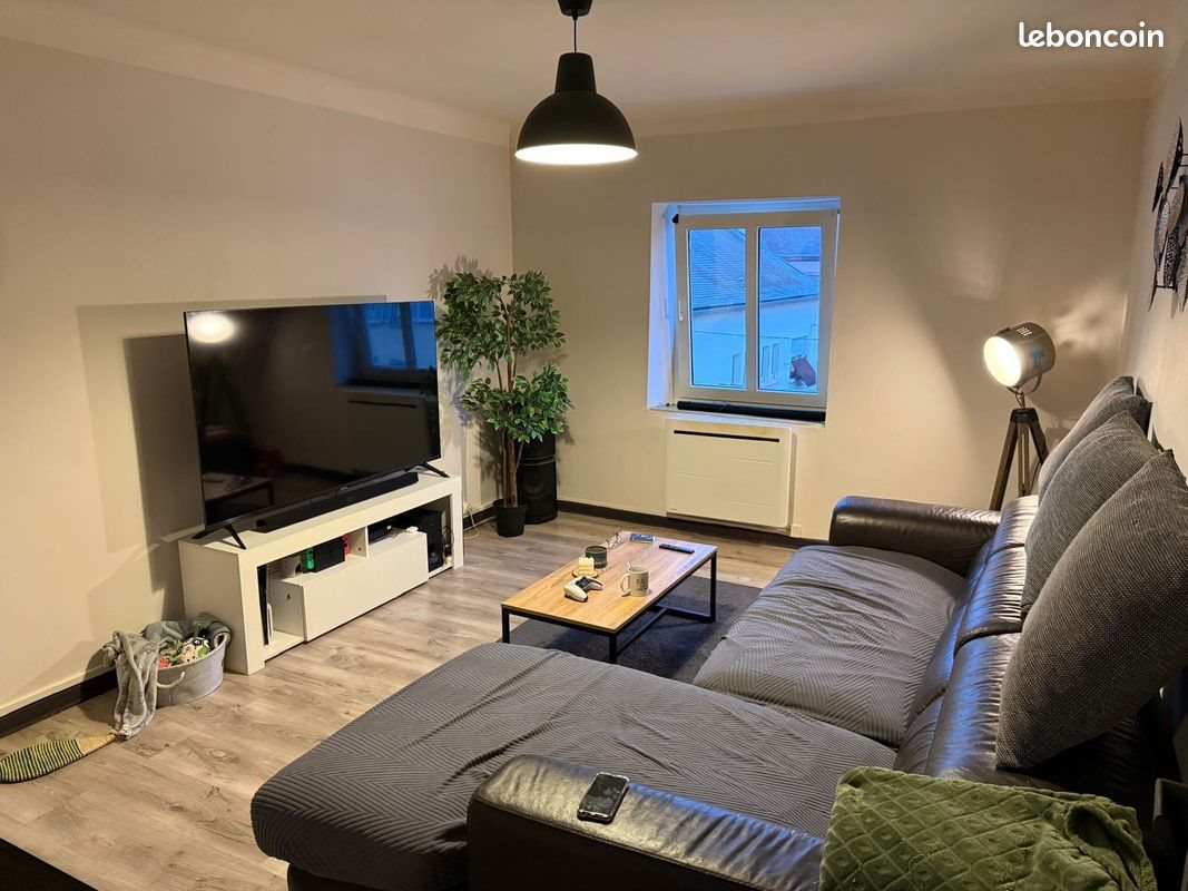 Appartement à louer, 50m², Sarralbe