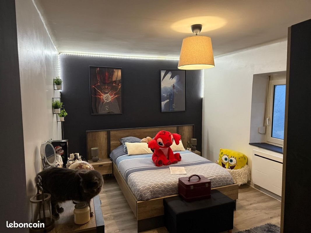 Appartement à louer, 50m², Sarralbe