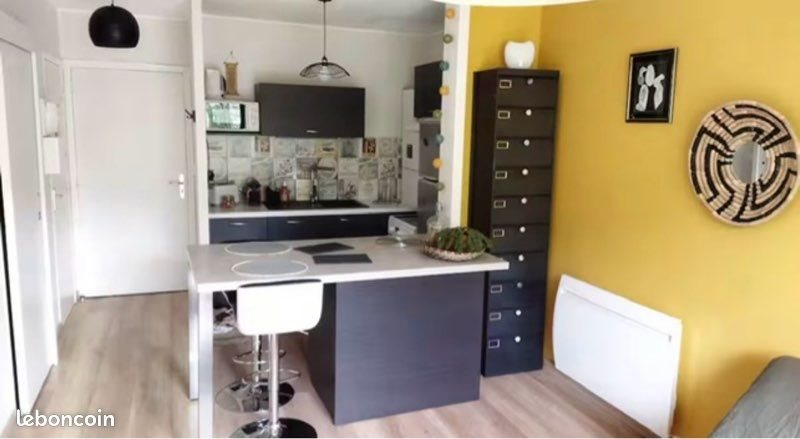 Appartement à louer, 35m², Millau