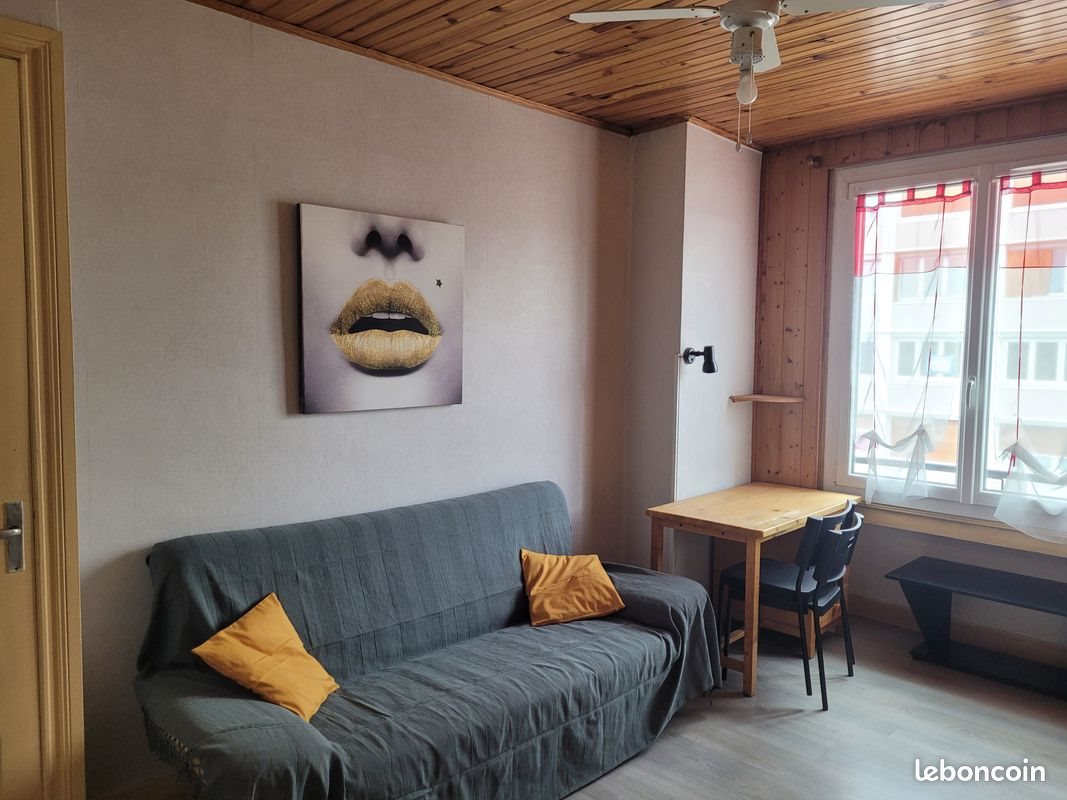 Appartement à louer, 42m², Saint-Etienne