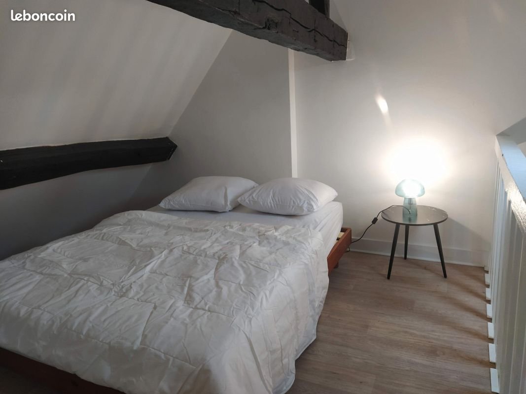 Appartement à louer, 47m², Orléans