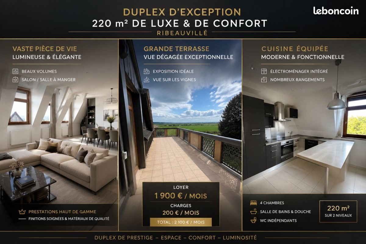 Appartement à louer, 220m², Ribeauvillé
