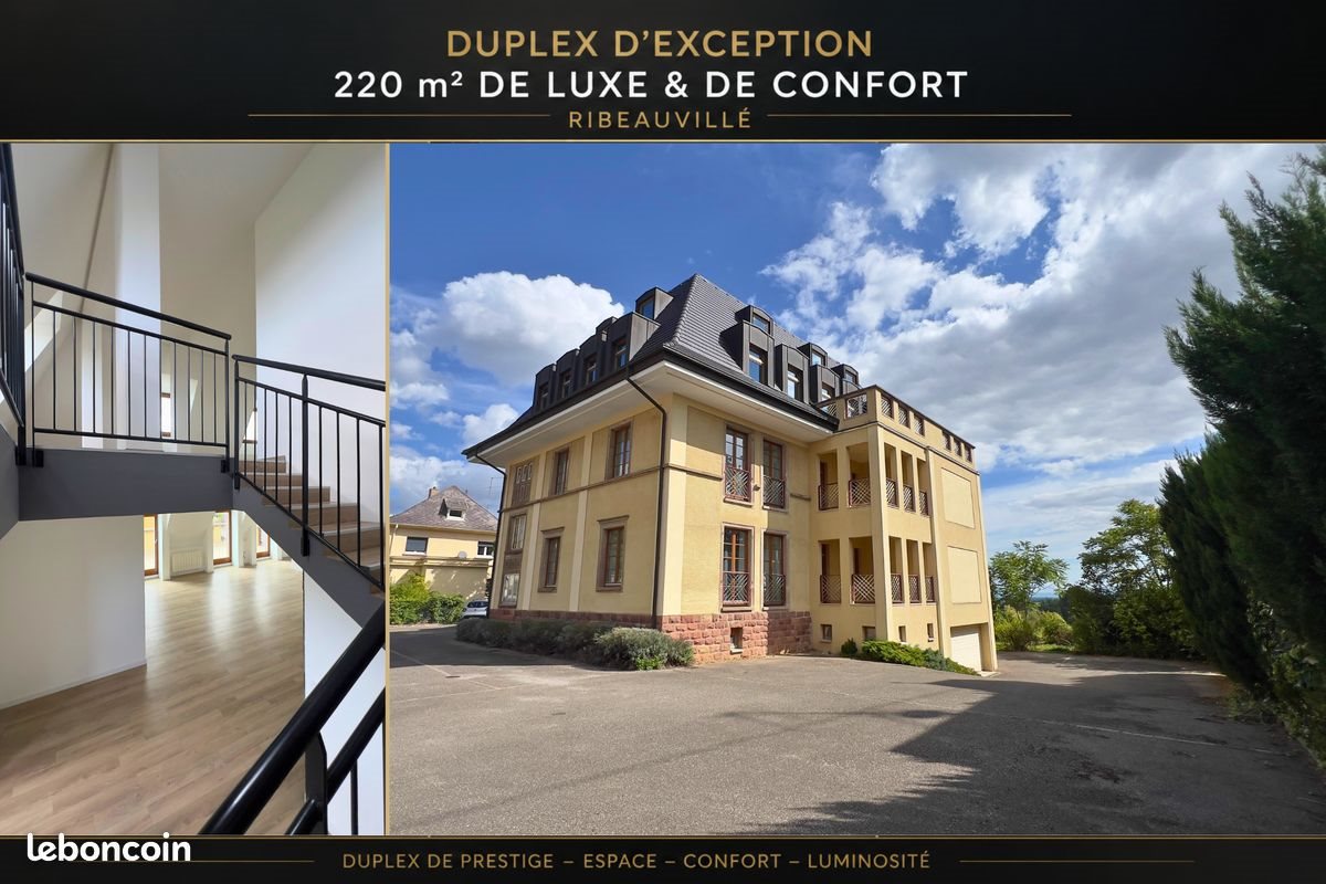 Appartement à louer, 220m², Ribeauvillé