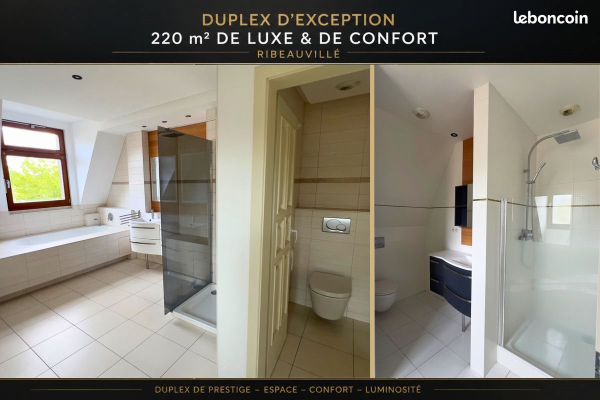 Appartement à louer, 220m², Ribeauvillé