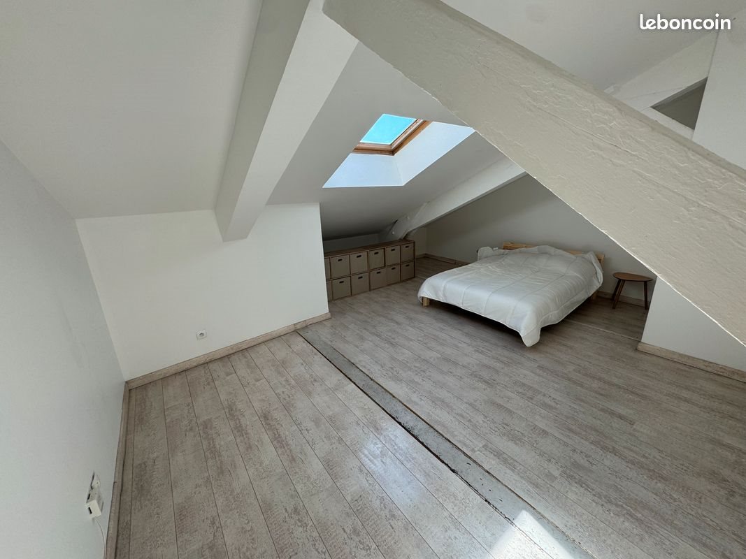 Appartement à louer, 45m², Villeurbanne