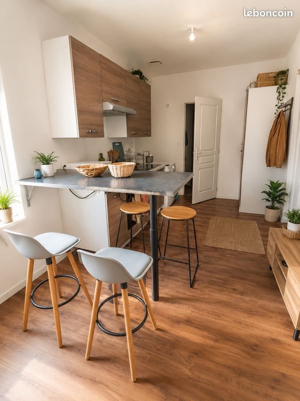 Appartement à louer, 34m², Les Avenières