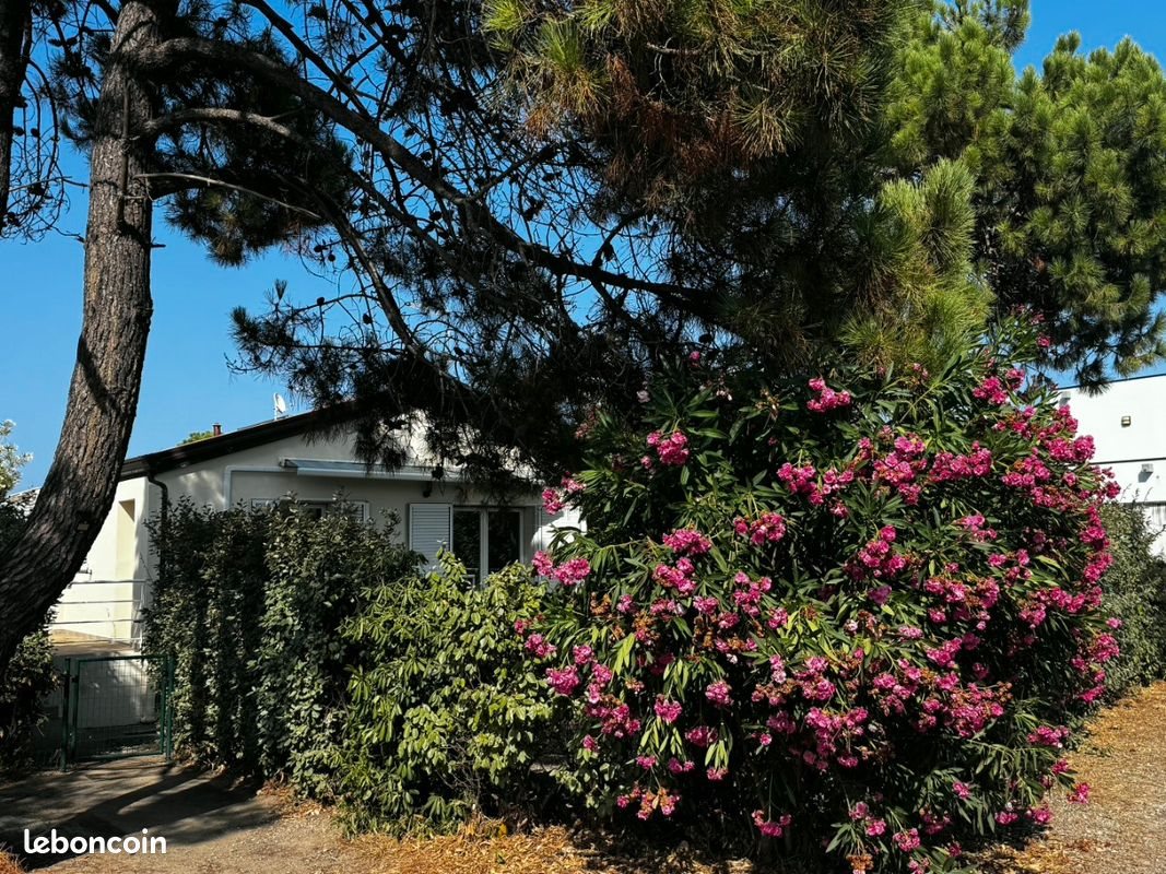 Maison à louer, 50m², Furiani