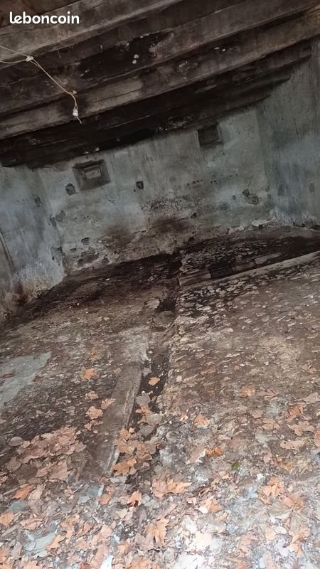 Maison à vendre, 200m², La Salvetat-Peyralès