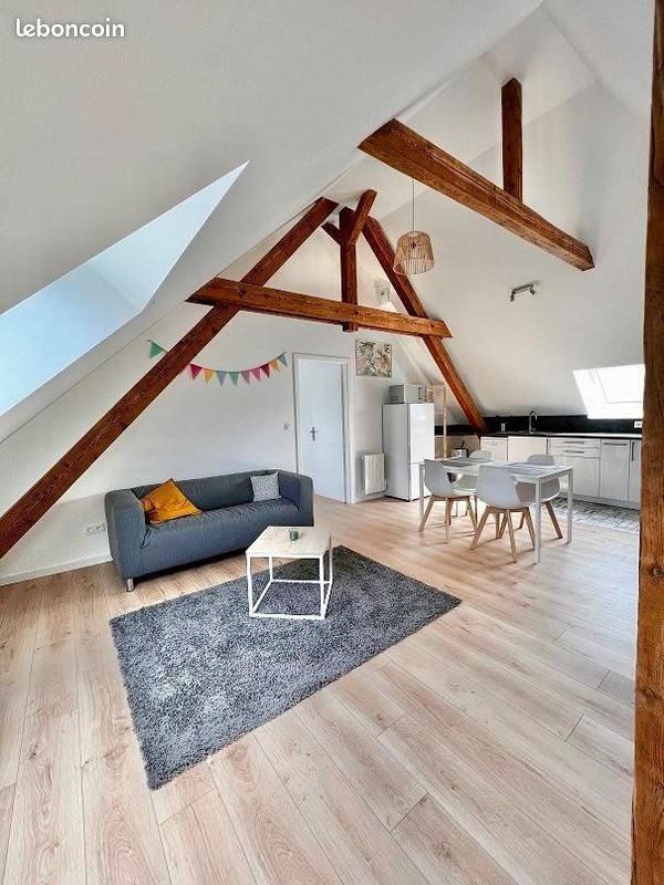 Appartement à louer, 50m², Schiltigheim