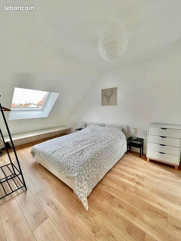 Appartement à louer, 50m², Schiltigheim