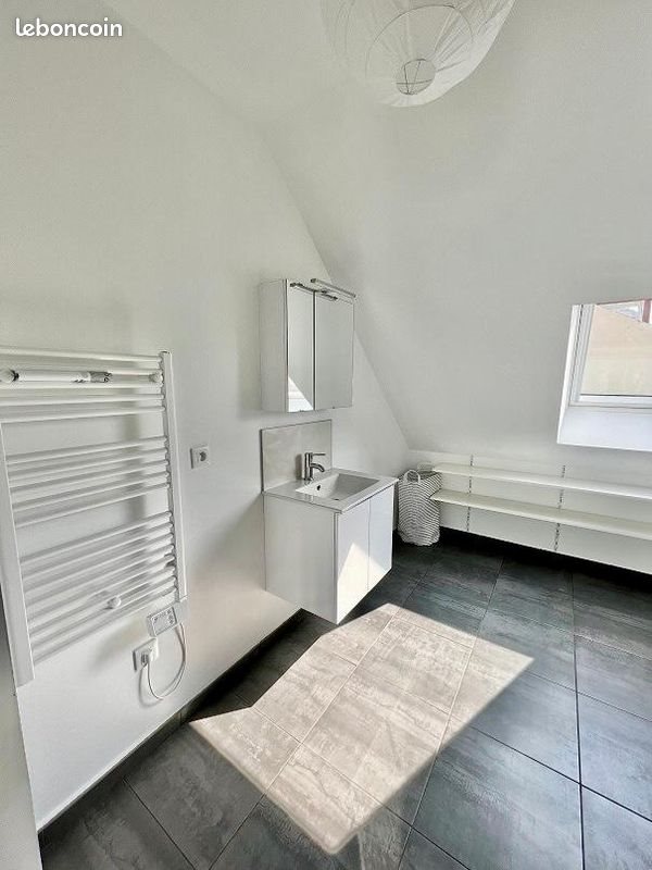 Appartement à louer, 50m², Schiltigheim
