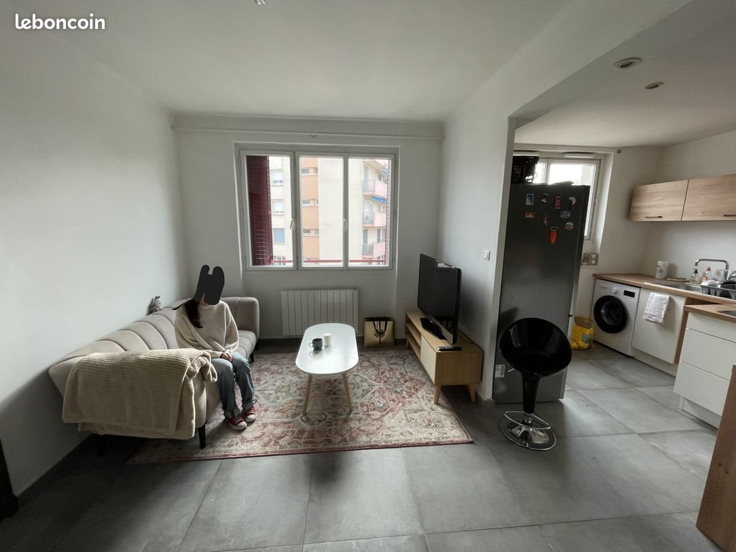 Appartement à louer, 45m², Lyon 7ème