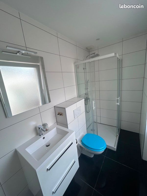 Appartement à louer, 41m², Hégenheim