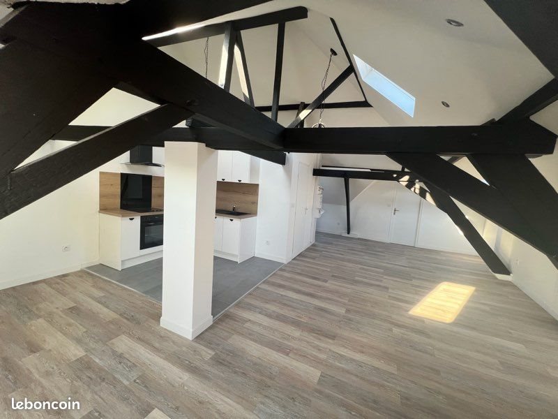 Appartement à louer, 51m², Roubaix