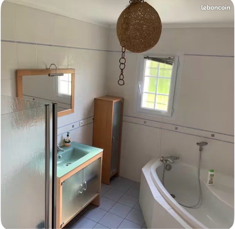 Maison à louer, 171m², Pruniers-en-Sologne