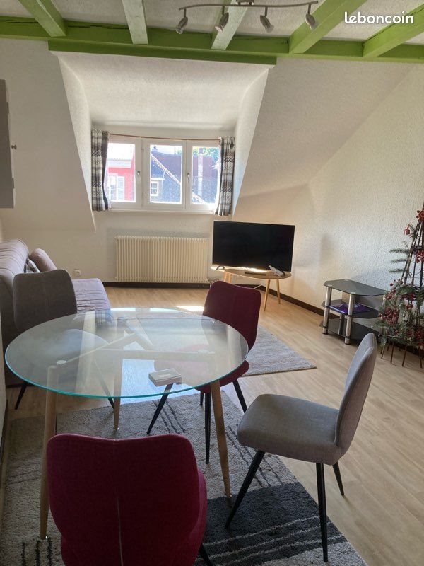 Appartement à louer, 43m², Colmar