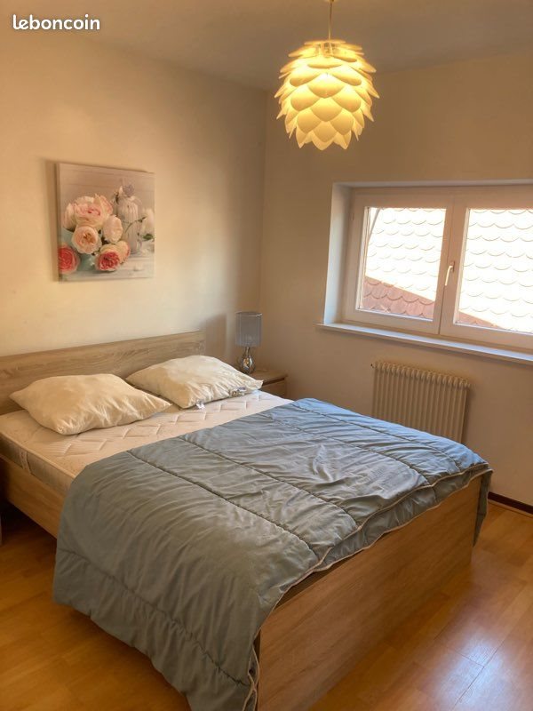 Appartement à louer, 43m², Colmar