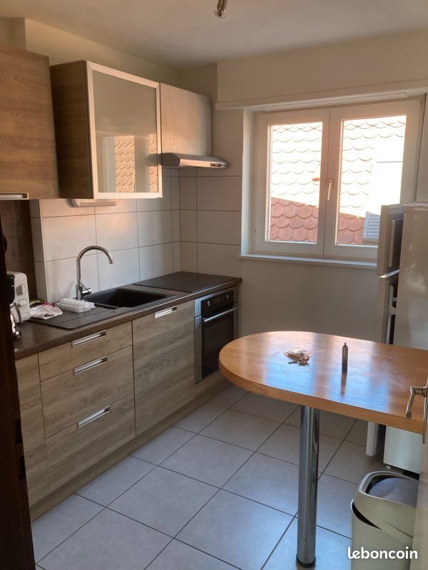 Appartement à louer, 43m², Colmar