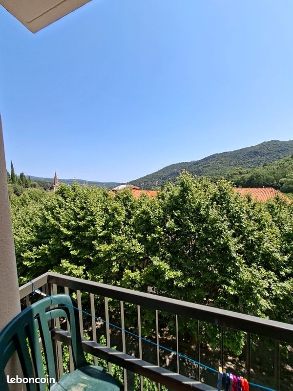 Appartement à vendre, 36m², Amélie-les-Bains-Palalda