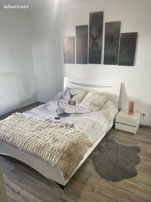 Appartement à louer, 39m², Meyzieu
