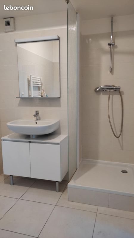 Appartement à louer, 28m², Saint-Etienne