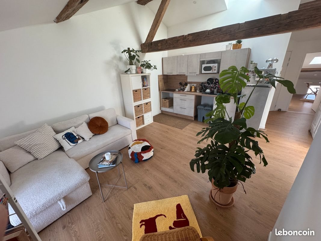 Appartement à louer, 46m², Réalmont