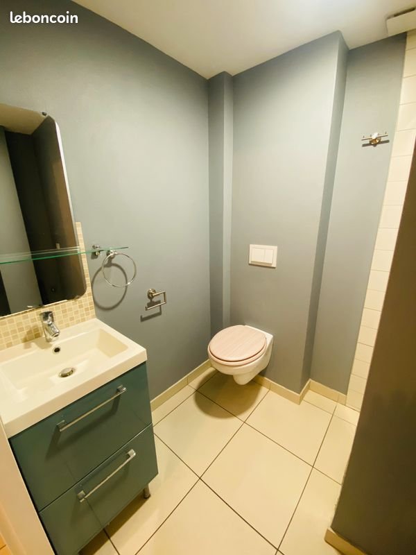 Appartement à louer, 23m², Saint-Fons