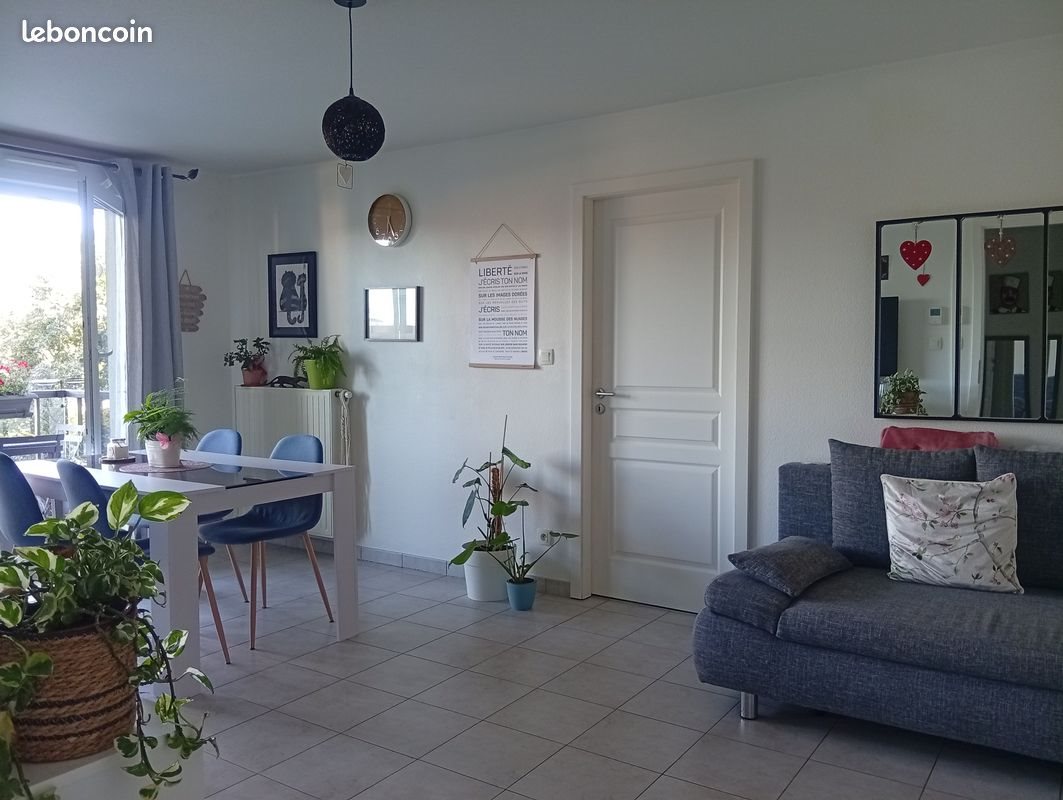 Appartement à vendre, 48m², Ensisheim