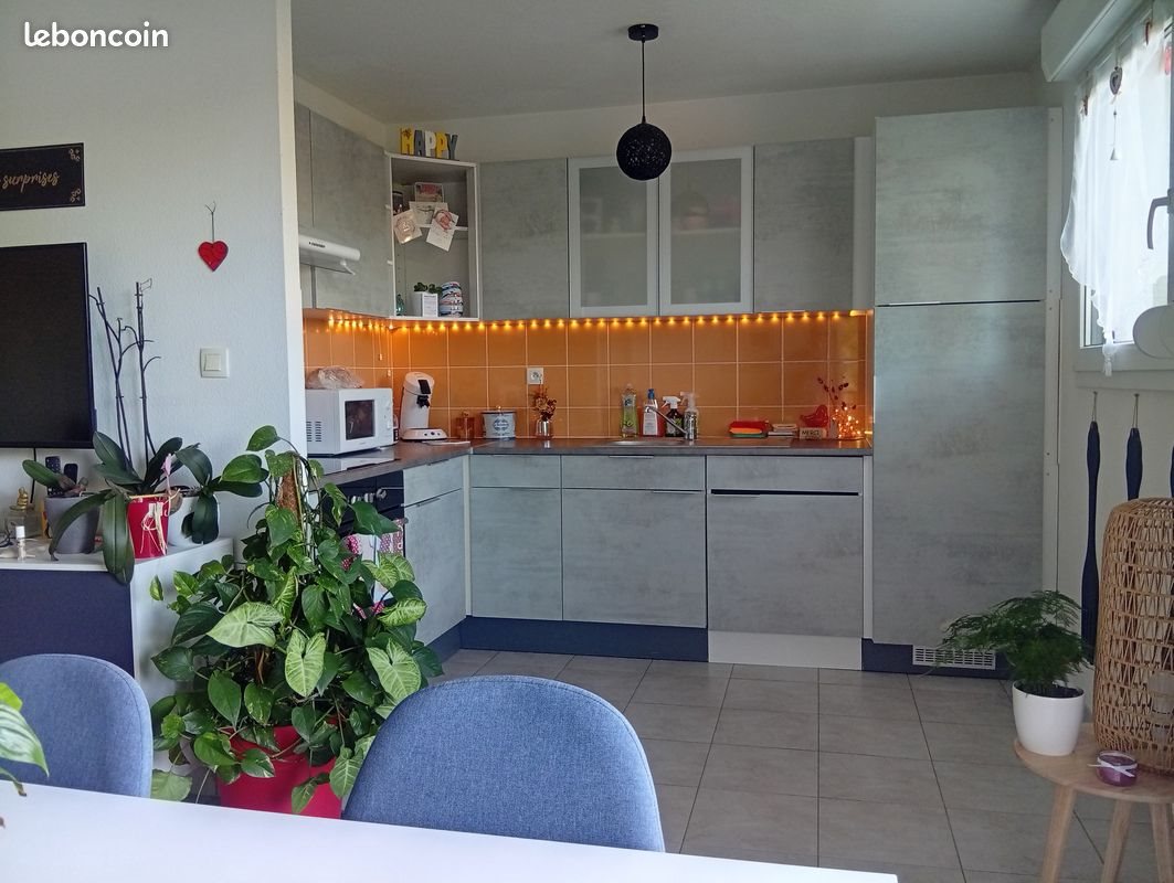 Appartement à vendre, 48m², Ensisheim